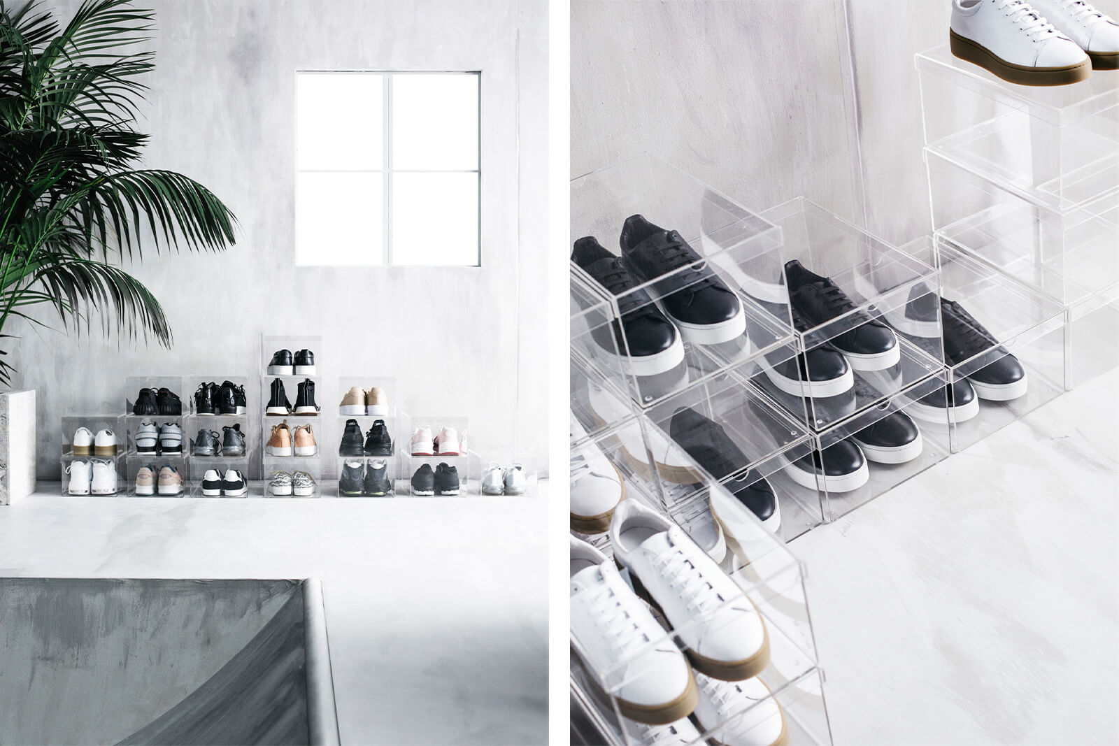 PAZZION INTERNATIONAL